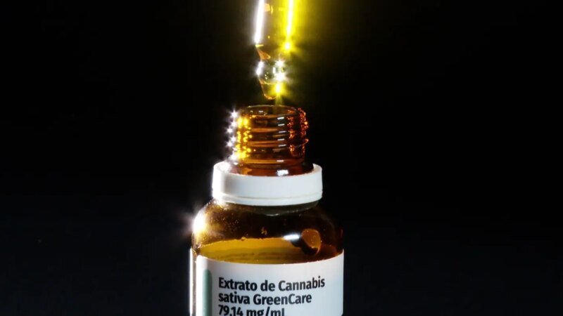 Crescimento nas Autorizações de Importação de Produtos de Cannabis em 2026