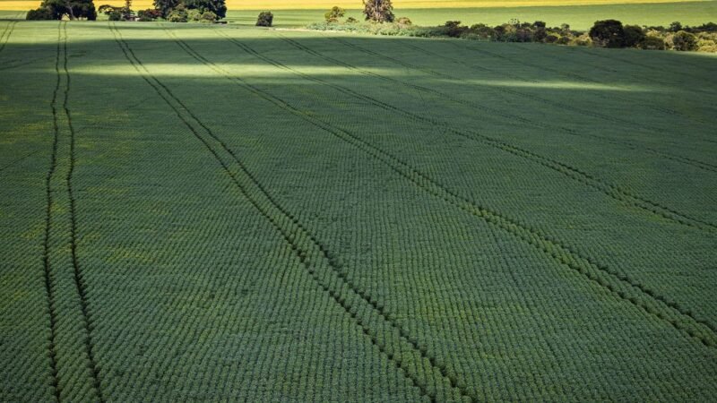CMN Amplia Opções de Renegociação de Dívidas para Produtores Rurais Afetados por Eventos Climáticos