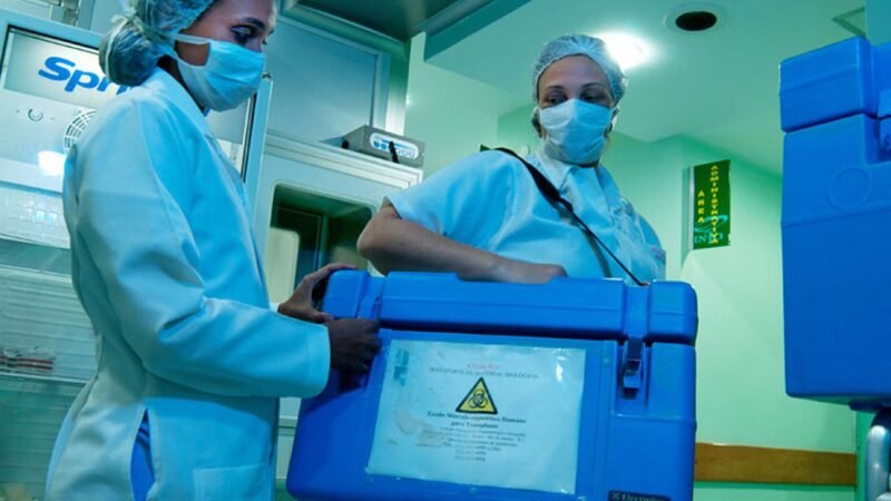 Setembro Verde: A Importância da Doação de Órgãos por Idosos