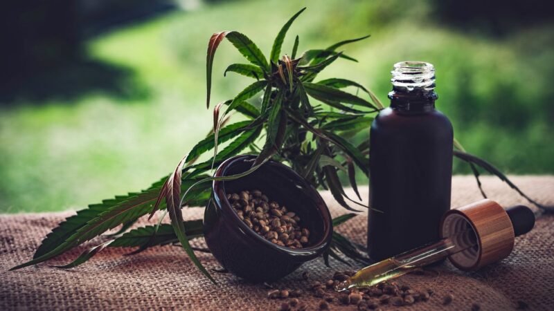 Desafios e Avanços na Regulamentação da Cannabis Medicinal no Brasil