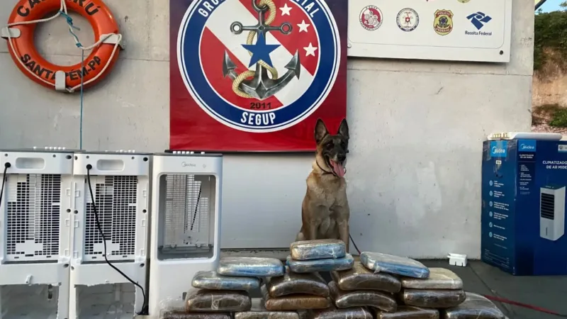 Apreensão de Drogas em Óbidos: 34 Quilos Encontrados em Ar-Condicionado