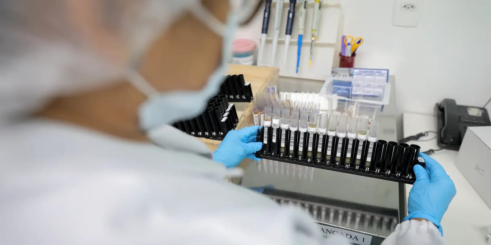 Avanços na Luta Contra a Malária: Anvisa Aprova Testes de Vacina 100% Brasileira