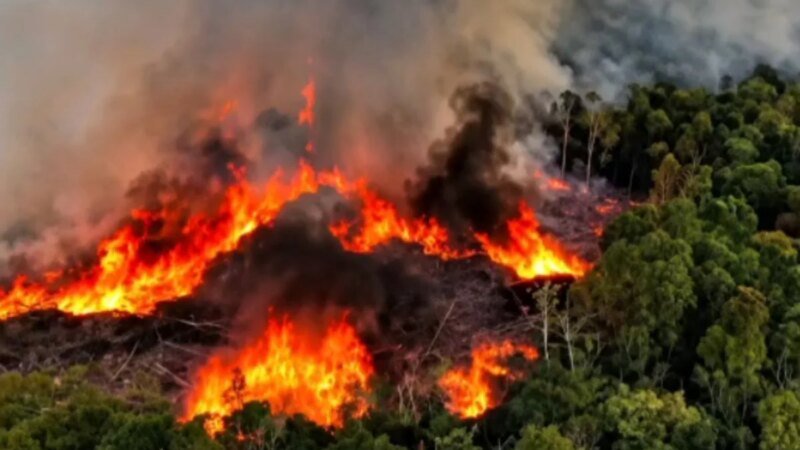 Governo Aumenta Frota de Aviões para Combate a Incêndios na Amazônia
