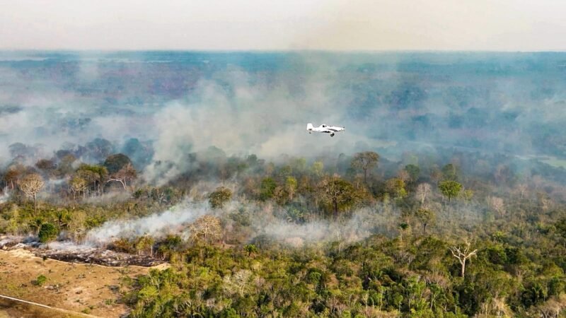 Justiça Federal Exige Esclarecimentos sobre Combate a Incêndios na Amazônia